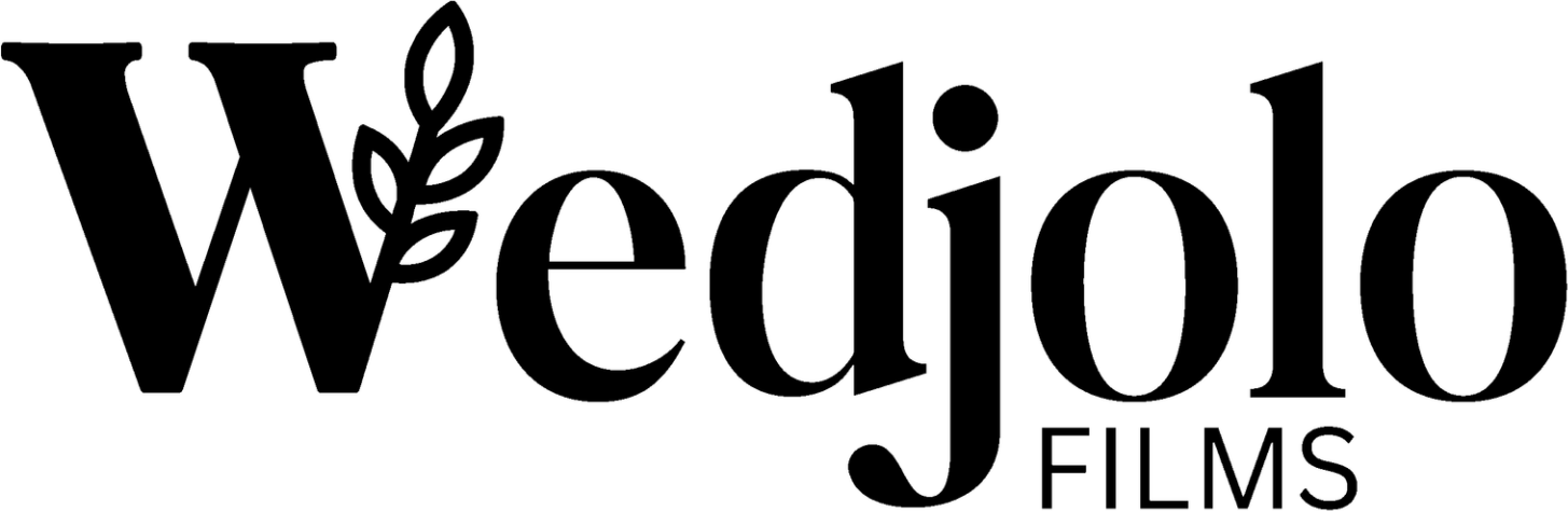 Wedjolo Films - Cinematic Wedding Films in Ahmedabad