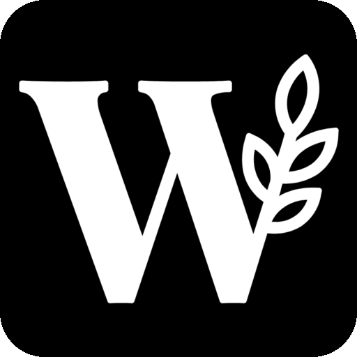 Wedjolo Films - Cinematic Wedding Films in Ahmedabad